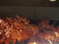 -花间别院(凤凰店)