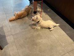 -DECAMERON十日谈(卓悦汇店)