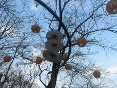-伴山茶苑·围炉煮茶