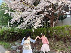 -大班家政月嫂育儿嫂(深圳NO.1店)