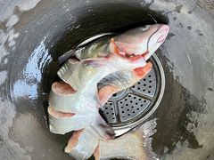 -北京龙庆四季香农家饭庄·灶台鱼·碳烤虹鳟鱼(龙庆峡店)