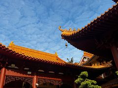 -深圳仙湖植物园