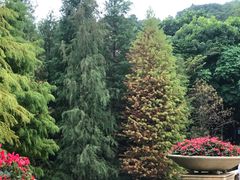 -云溪植物园