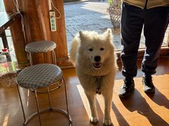 -正宗李家土鸡米线店