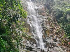 -鼎湖山风景区