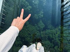 -牛鱼嘴原始生态风景区