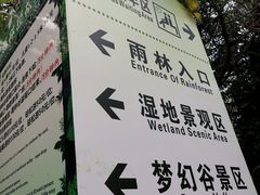 -呀诺达热带雨林