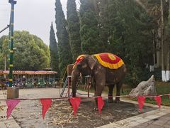 -云南民族村