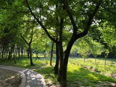 -太子山公园(园东路)