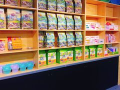 -猫十亿·布偶金渐层·曼基康矮脚猫舍(青年路店)