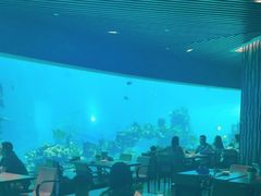-海棠湾洲际-涛·海底餐厅·美人鱼·自助餐·海底隧道