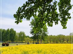 -天津武清北运河郊野公园房车露营地