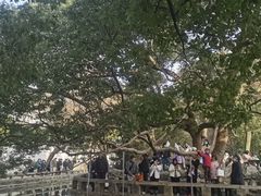 -西园戒幢律寺