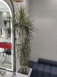 -Nice奈斯形象定制沙龙