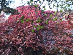 -辽宁大学(崇山校区)