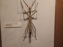 -天津自然博物馆