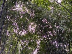 -成都杜甫草堂博物馆