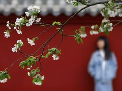 -明蜀王陵(地铁站)