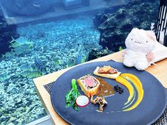 -海棠湾洲际-涛·海底餐厅·美人鱼·自助餐·海底隧道