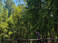 -波尔登森林公园