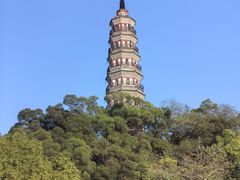 -顺峰山公园