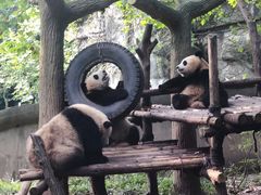 -成都浩海立方海洋公园