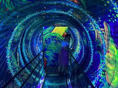 -上海梵高星空艺术馆(南京路旗舰店)