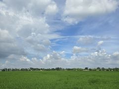 -嘉北郊野公园