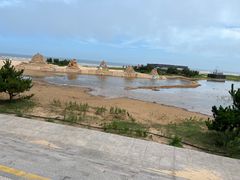 -日照海滨国家森林公园