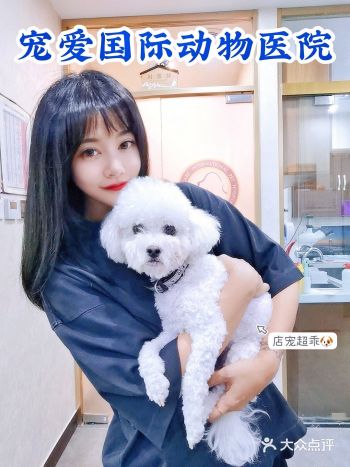 抱到店宠啦！超有爱的专业宠物医院宠爱国际动物医院