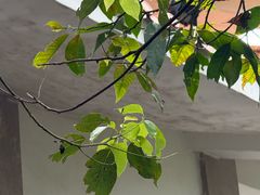 -水濂山森林公园