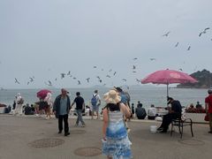 -棒棰岛宾馆景区