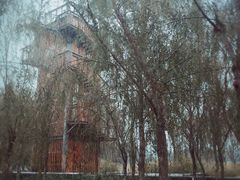 -东郊湿地公园