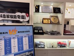 -车艺佳龙膜隐形车衣汽车贴膜(宝山丰宝店)