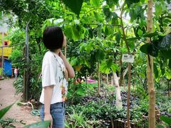 -呀路古热带植物园