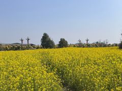 -中国天府农业博览园