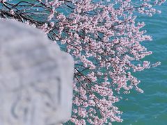 -颐和园
