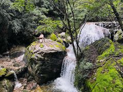 -牛背梁国家森林公园