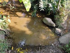 -滴水岩森林公园