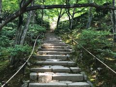 -常寂光寺