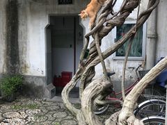 -小雅青年旅舍(平江路店)