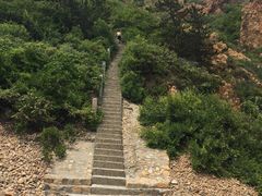 -林海公园
