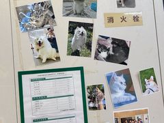 -爱妮康宠物医院·干细胞免疫细胞·肿瘤·心脏(张江店)