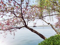-西湖天地