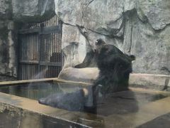 -南昌动物园