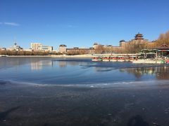 -莲花池公园