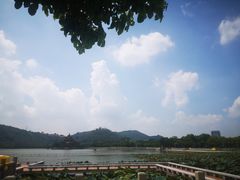 -顺峰山公园