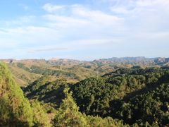 -磬锤峰森林公园