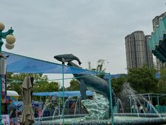 -海合安武汉极地海洋公园