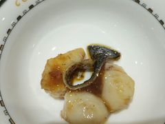 -西木兔(大圆祥店)